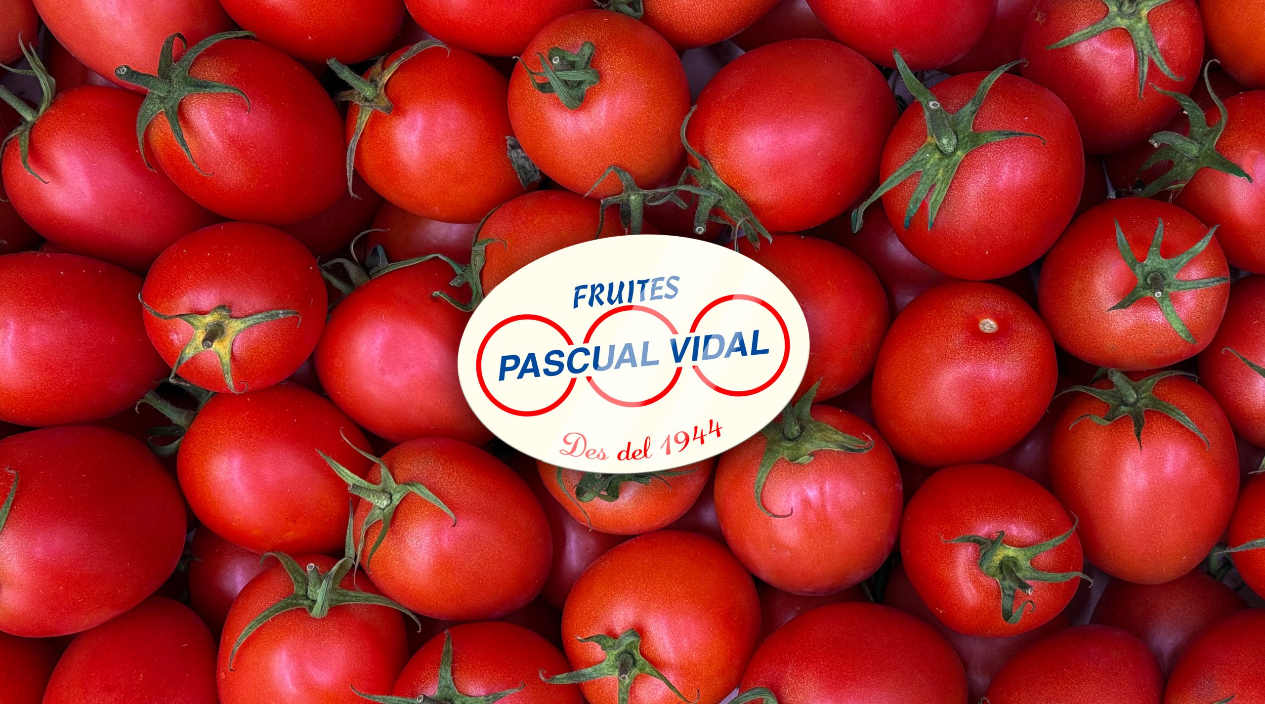 Fruites Pascual Vidal